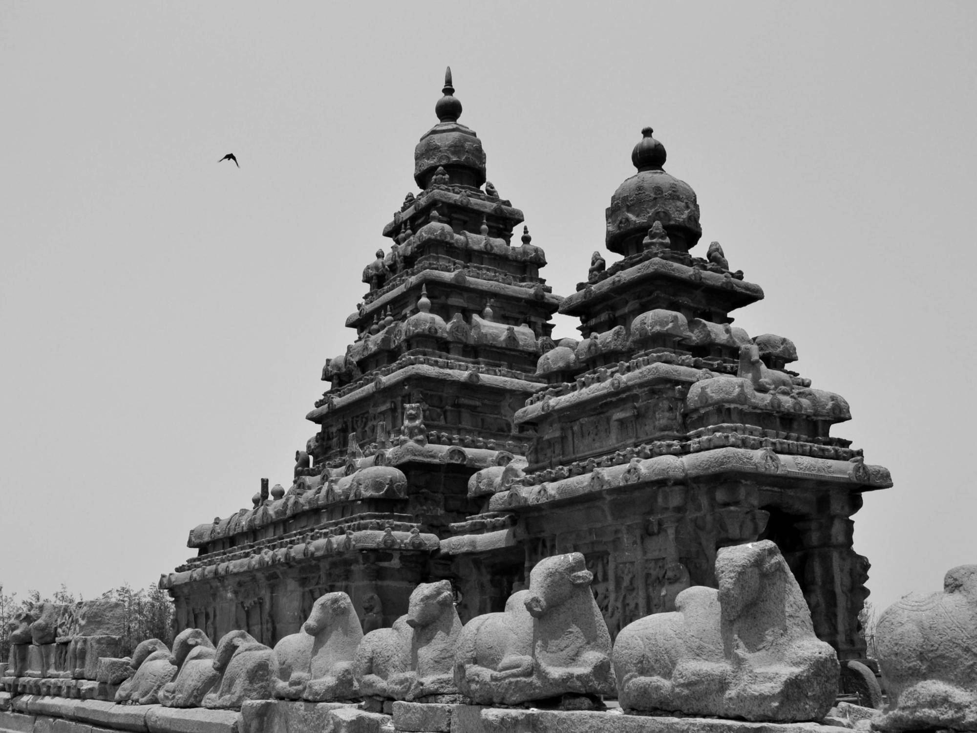 Sea Breeze Beach Resort Mamallapuram Eksteriør billede